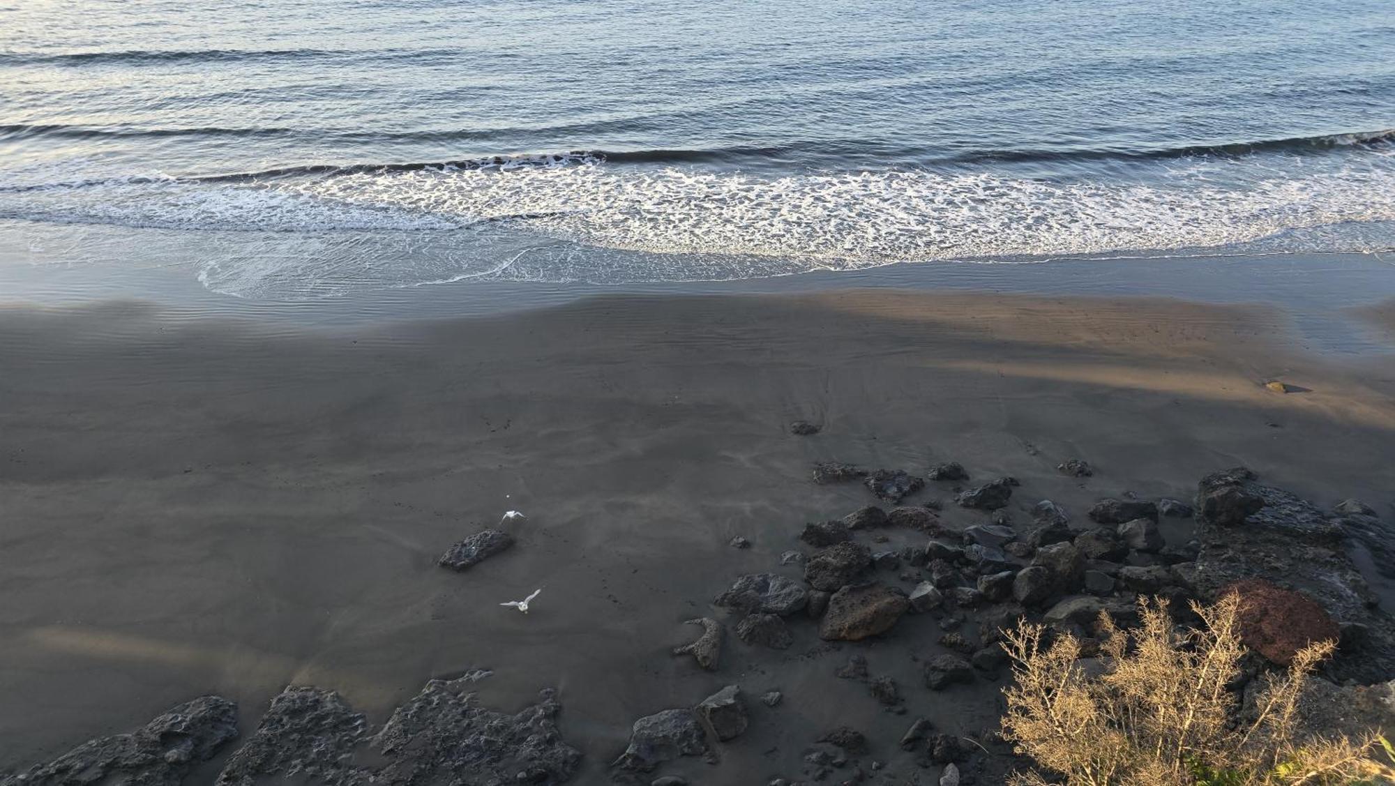 Seaview Apartment, Playa Chica, Las Gaviotas, Apartamento 311 Santa Cruz de Tenerife Eksteriør bilde